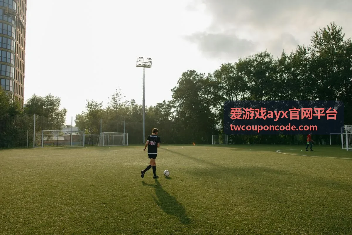 爱游戏ayx官网平台平台优惠券中心封面图