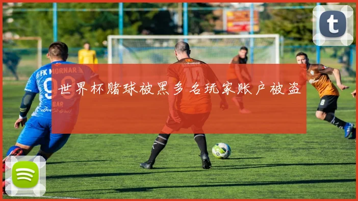 世界杯赌球被黑多名玩家账户被盗