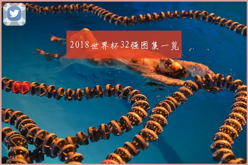 2018世界杯32强图集一览
