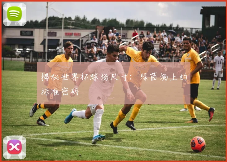 揭秘世界杯球场尺寸：绿茵场上的标准密码