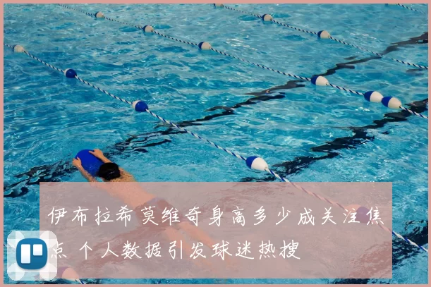 伊布拉希莫维奇身高多少成关注焦点 个人数据引发球迷热搜