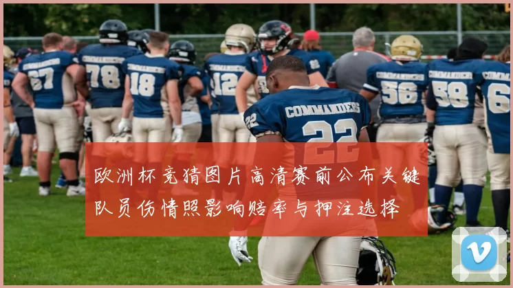 欧洲杯竞猜图片高清赛前公布关键队员伤情照影响赔率与押注选择