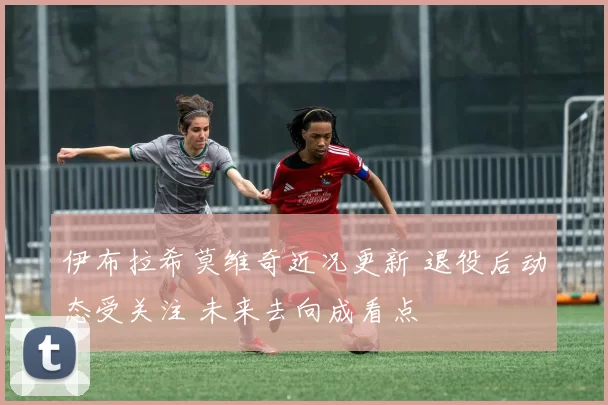 伊布拉希莫维奇近况更新 退役后动态受关注 未来去向成看点