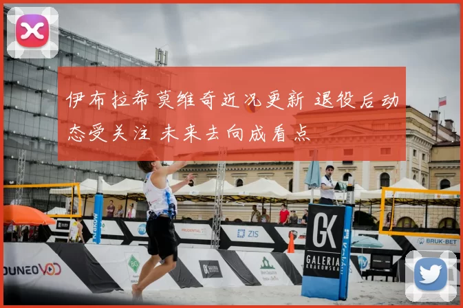 伊布拉希莫维奇近况更新 退役后动态受关注 未来去向成看点