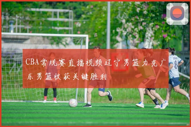 CBA常规赛直播视频辽宁男篮力克广东男篮收获关键胜利