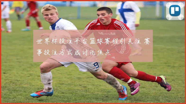 世界杯投注平台篮球赛程引关注 赛事投注方式成讨论焦点
